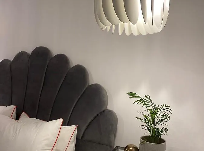 Apartment Berg Brasov